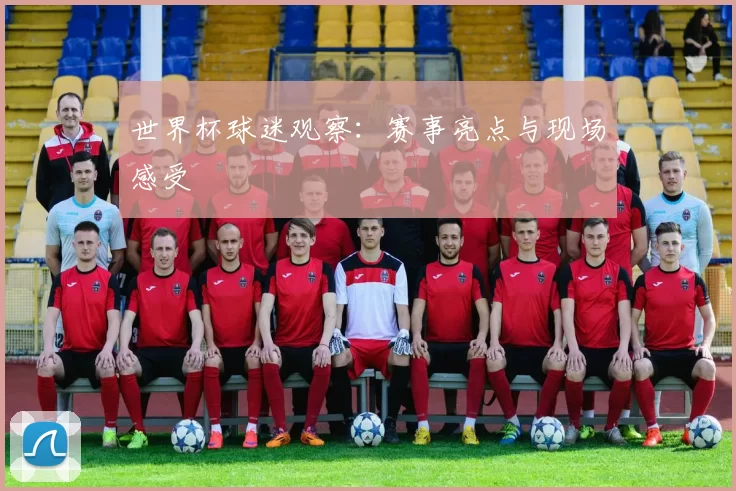 世界杯球迷观察:赛事亮点与现场感受