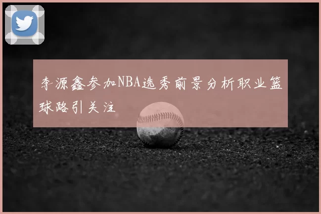 李源鑫参加NBA选秀前景分析职业篮球路引关注