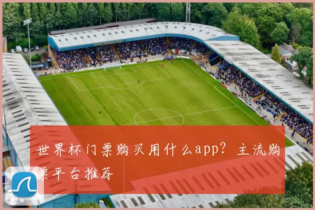 世界杯门票购买用什么app?主流购票平台推荐