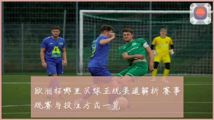 欧洲杯哪里买球正规渠道解析 赛事观赛与投注方式一览