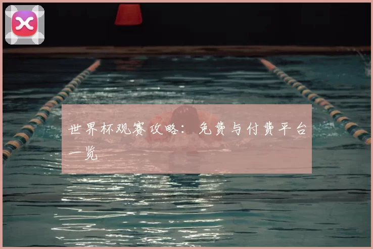 世界杯观赛攻略:免费与付费平台一览