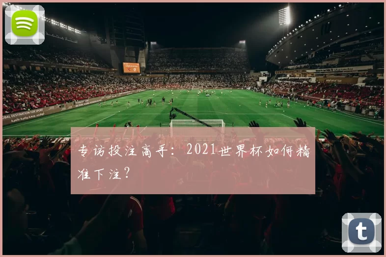专访投注高手:2021世界杯如何精准下注?