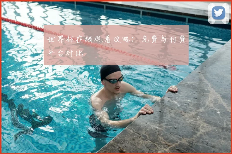 世界杯在线观看攻略:免费与付费平台对比