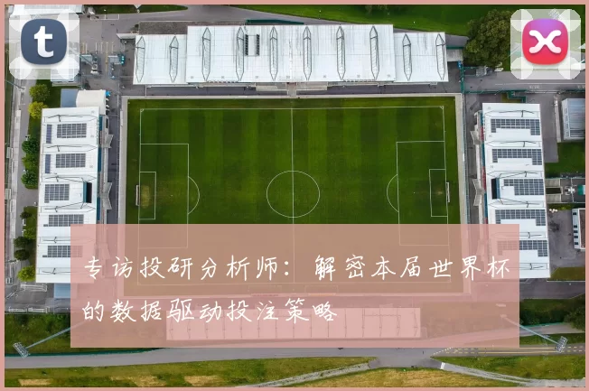专访投研分析师:解密本届世界杯的数据驱动投注策略