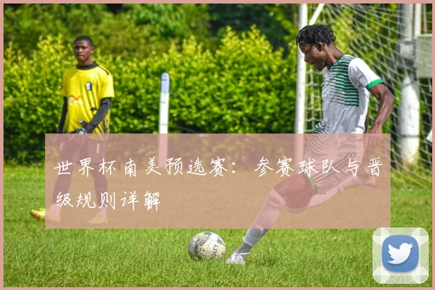 世界杯南美预选赛:参赛球队与晋级规则详解
