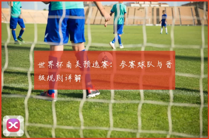 世界杯南美预选赛:参赛球队与晋级规则详解