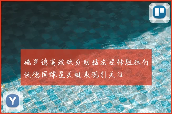 施罗德高效砍分助猛龙逆转胜独行侠德国球星关键表现引关注