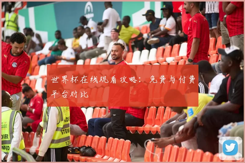 世界杯在线观看攻略:免费与付费平台对比