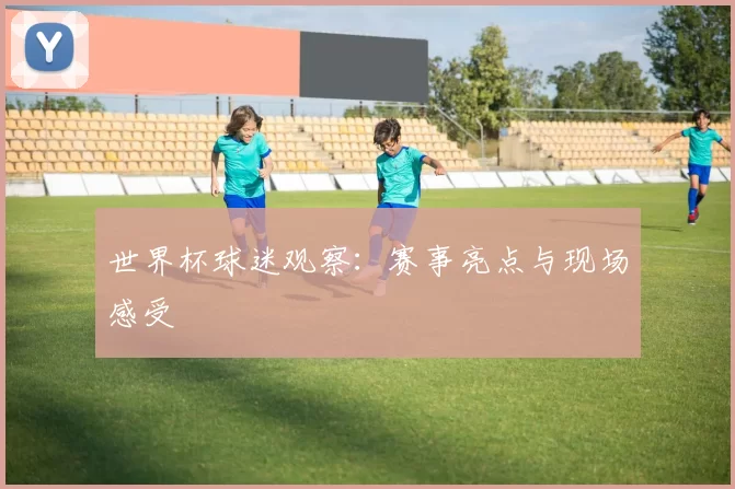 世界杯球迷观察:赛事亮点与现场感受